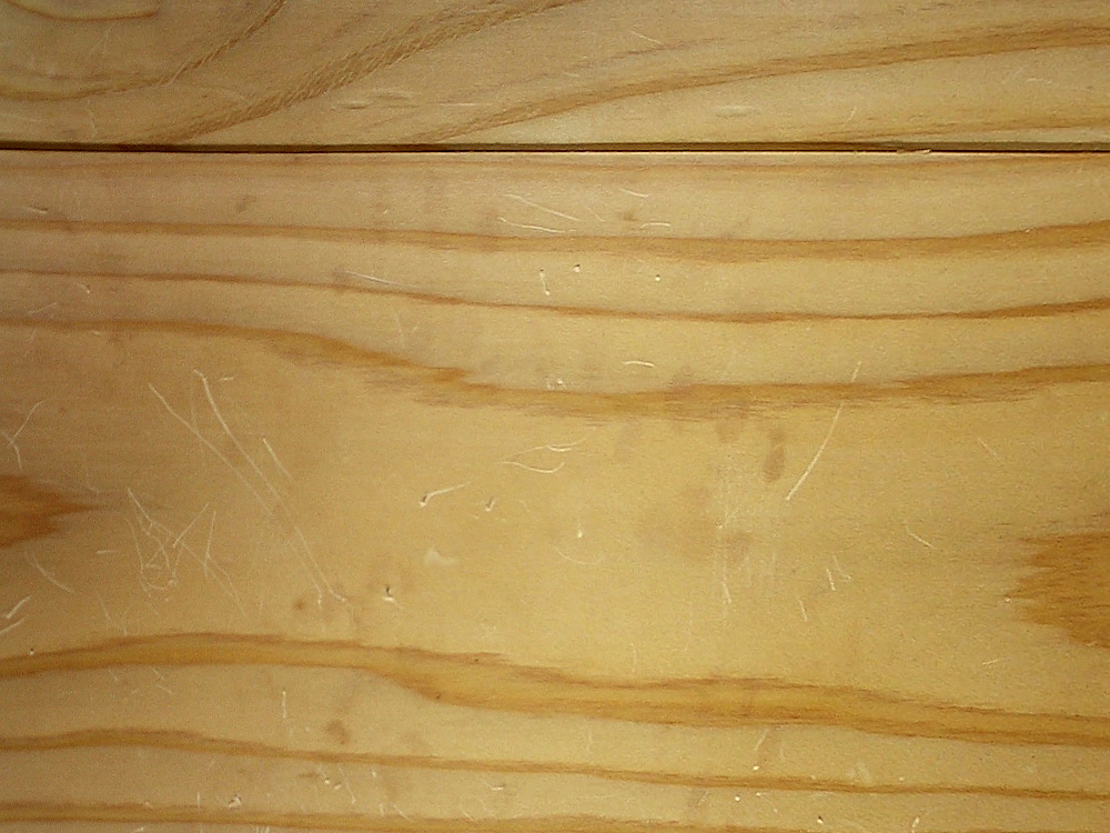 杉板の床とねこ　風樂房