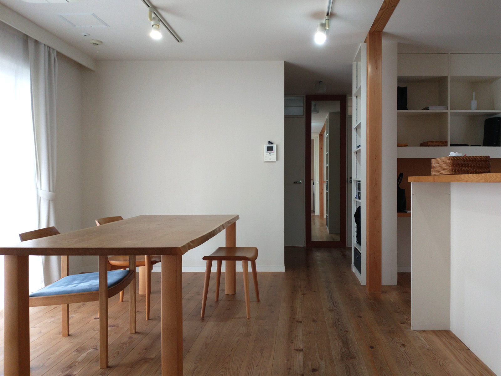 にしこいの家　12年目