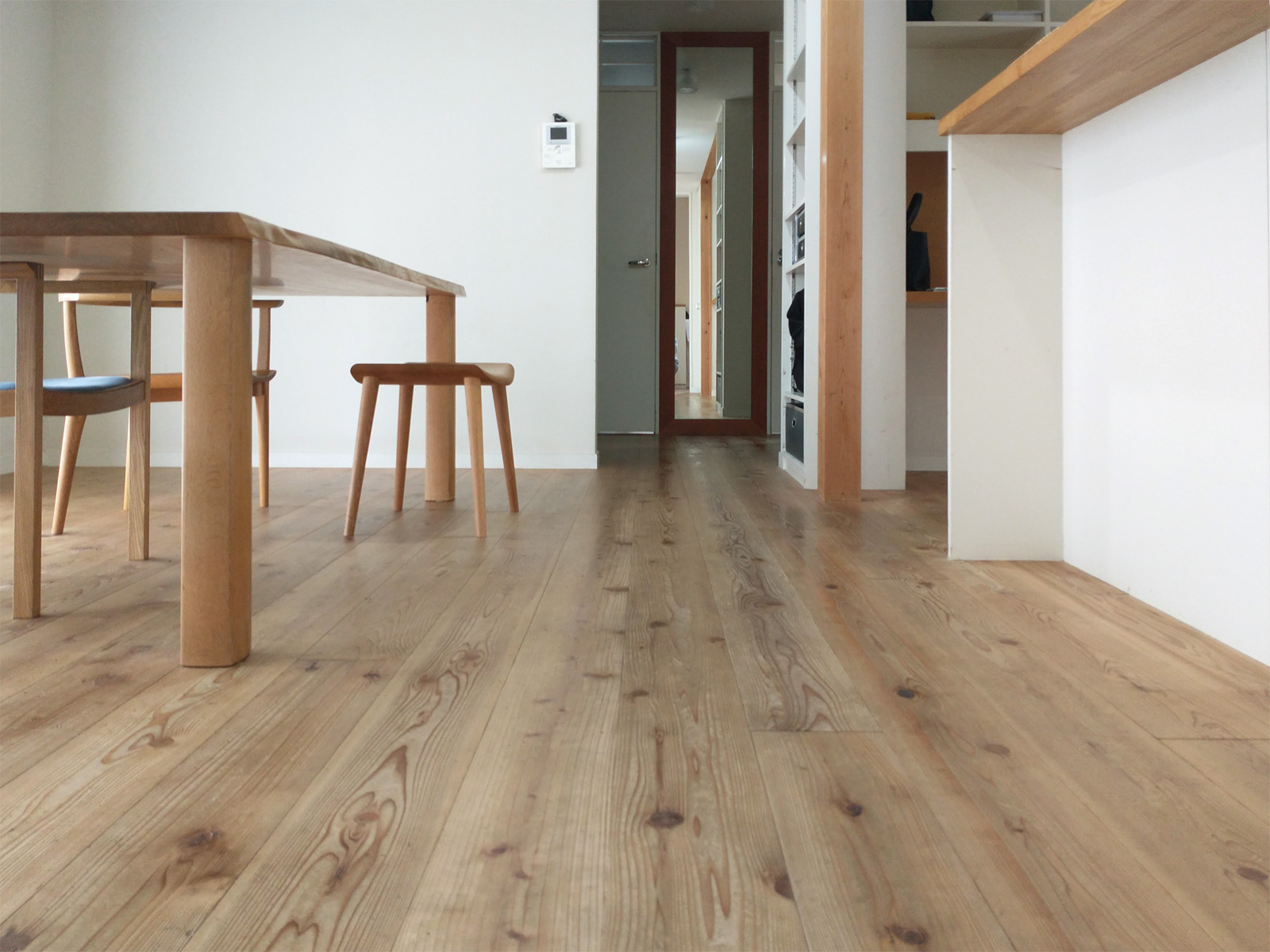 にしこいの家　12年目