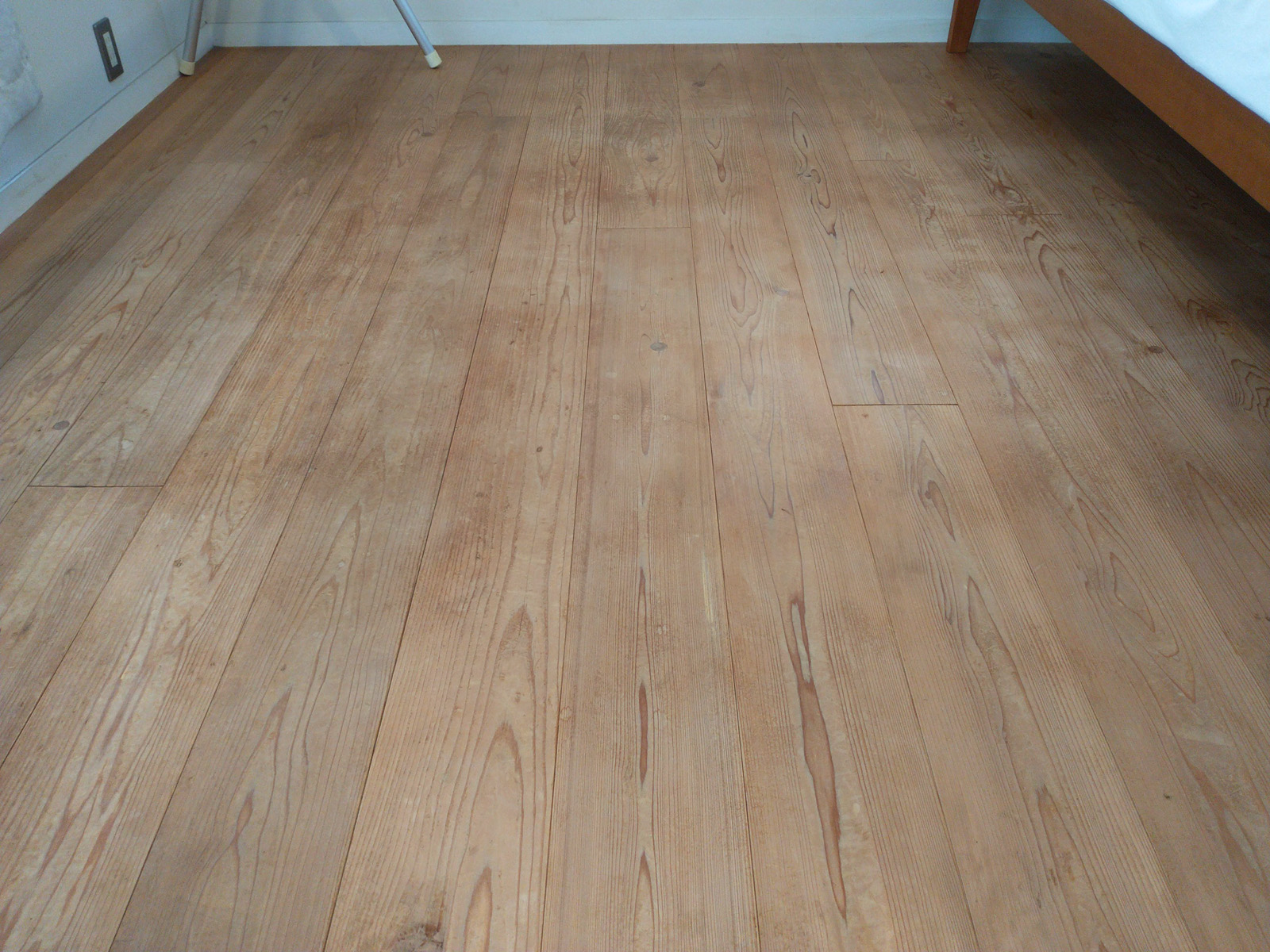 にしこいの家　12年目